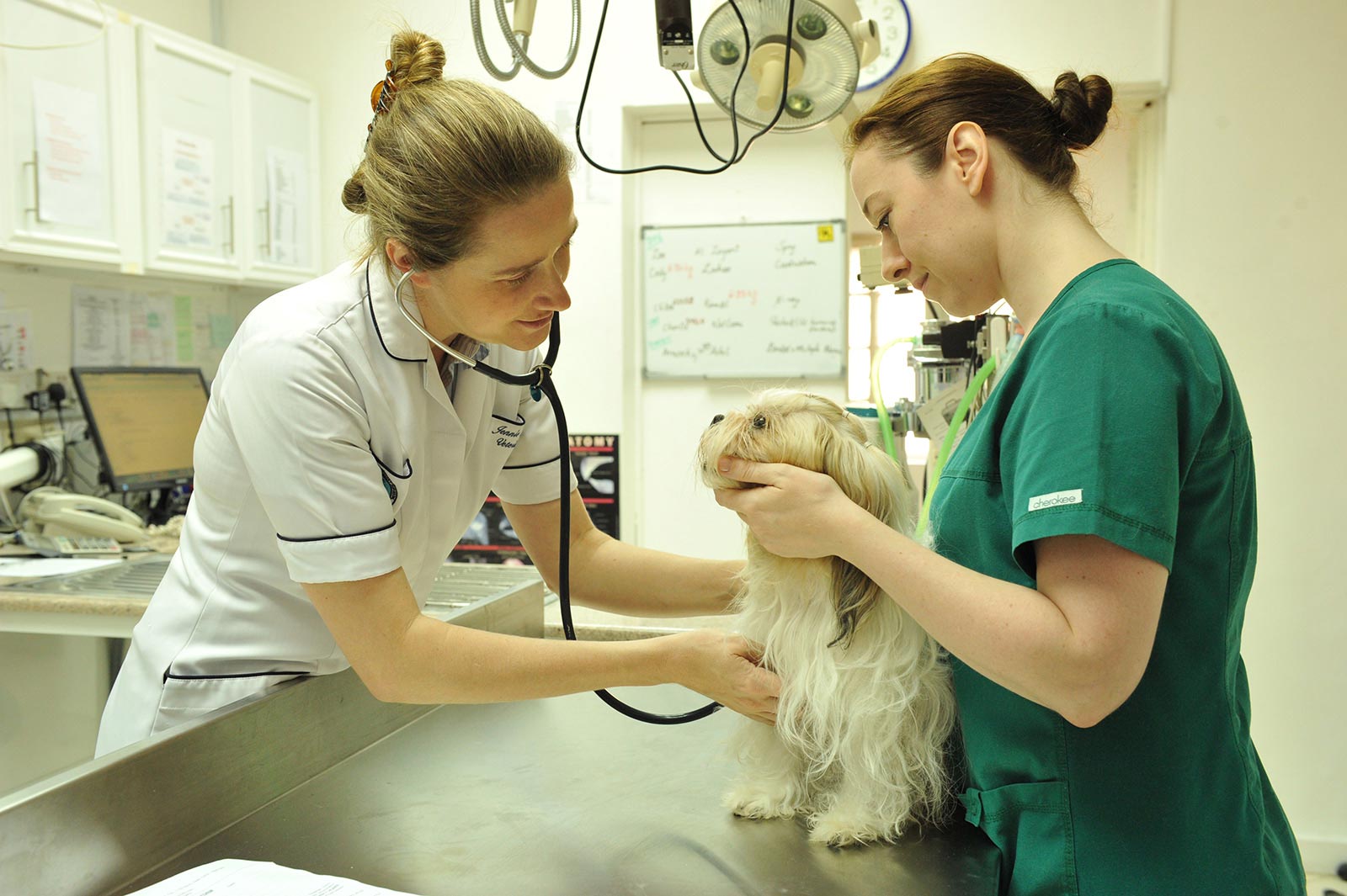 Preoperative-check-with-Dr-Jennie-and-Lisa-RVN