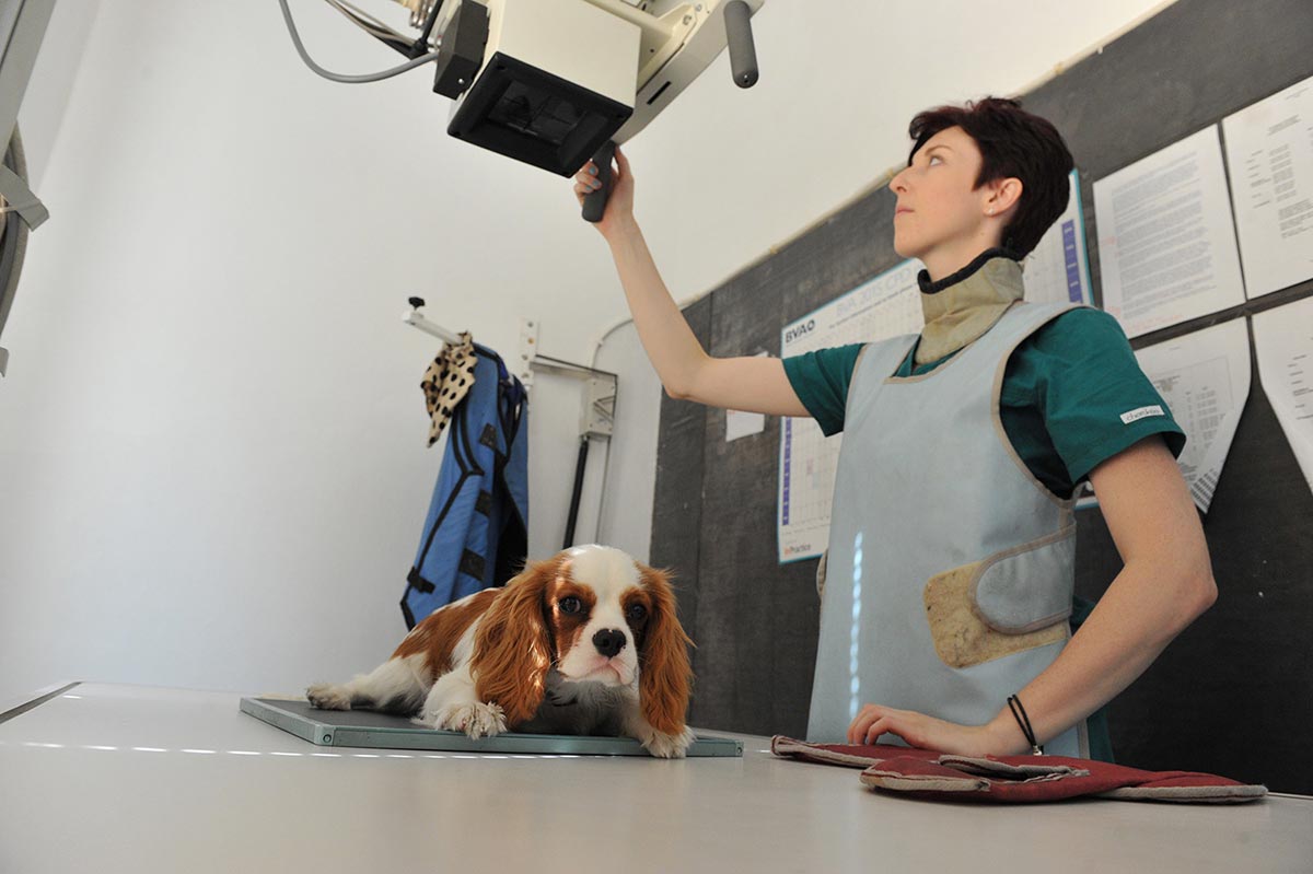 Tracy-and-Xray-patient