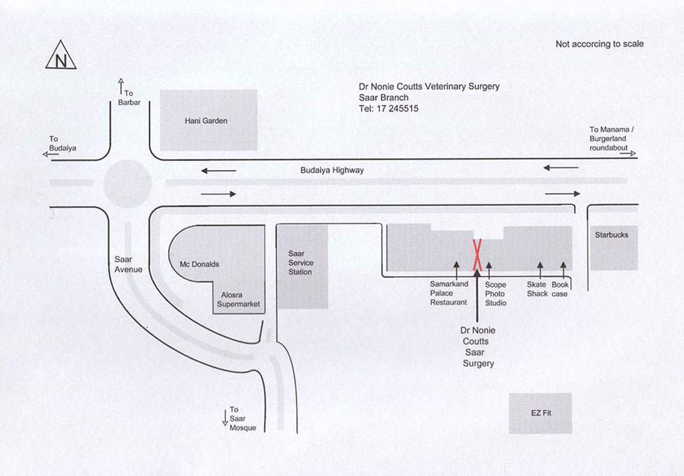 saar_map01